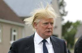 trumphair